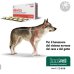 Alevica - 200 compresse - per il benessere del sistema nervoso di cani e gatti 