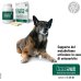 Condrostress + per la salute articolare dei cani 90 compresse Condrostress + per la salute articolare dei cani 90 compresse
