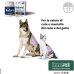 Redonyl ultra 50 mg - 60 capsule birillo - per cute e mantello di cani e gatti