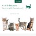 Restomyl Dentalcroc Gatto - 60 grammi - per migliorare l'alito Restomyl Dentalcroc Gatto - 60 grammi - per migliorare l'alito