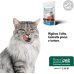 Restomyl Dentalcroc Gatto - 60 grammi - per migliorare l'alito Restomyl Dentalcroc Gatto - 60 grammi - per migliorare l'alito