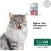 Restomyl Supplemento Gatto - 40 grammi
