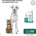 Auria Detergente Auricolare per cani e gatti - 100 ml