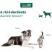 Auria Gocce Auricolari - 10 ml - per cani e gatti lenitive ed igienizzanti 