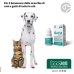 Auria Gocce Auricolari - 10 ml - per cani e gatti lenitive ed igienizzanti 