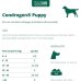 Condrogen Puppy - 30 compresse - sviluppo articolare cucciolo