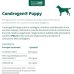 Condrogen Puppy - 60 compresse - sviluppo articolare cucciolo