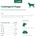 Condrogen Puppy - 90 compresse - sviluppo articolare cucciolo