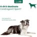 Condrogen Sport - 60 Stick - per le articolazioni di cani sportivi