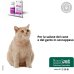 Oleea Capsule - 60 capsule birillo - per cani e gatti obesi o in sovrappeso  