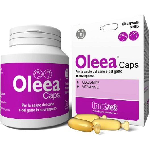 Oleea Capsule - 60 capsule birillo - per cani e gatti obesi o in sovrappeso Oleea Capsule - 60 capsule birillo - per cani e gatti obesi o in sovrappeso