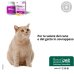 Oleea Liquid 60 ml - controllo del peso di cani e gatti