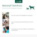 Restomyl Dentifricio e Spazzolino per cani e gatti Restomyl Dentifricio e Spazzolino per cani e gatti
