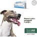 Restomyl Dentifricio e Spazzolino per cani e gatti Restomyl Dentifricio e Spazzolino per cani e gatti