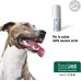 Restomyl Gel - 30 ml - per la salute della mucosa orale di cani e gatti 