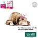 Senilife Plus - 30 capsule - supporto cognitivo cani e gatti anziani Senilife Plus - 30 capsule - supporto cognitivo cani e gatti anziani
