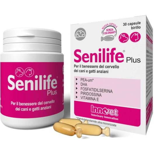 Senilife Plus - 30 capsule - supporto cognitivo cani e gatti anziani
