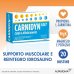 Carnidyn Fast - Magnesio, Potassio e Creatina contro caldo e affaticamento - 12 bustine Carnidyn Fast - Magnesio, Potassio e Creatina contro caldo e affaticamento - 12 bustine