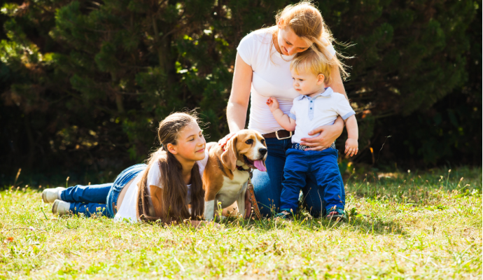 Animali da compagnia e allergie primaverili