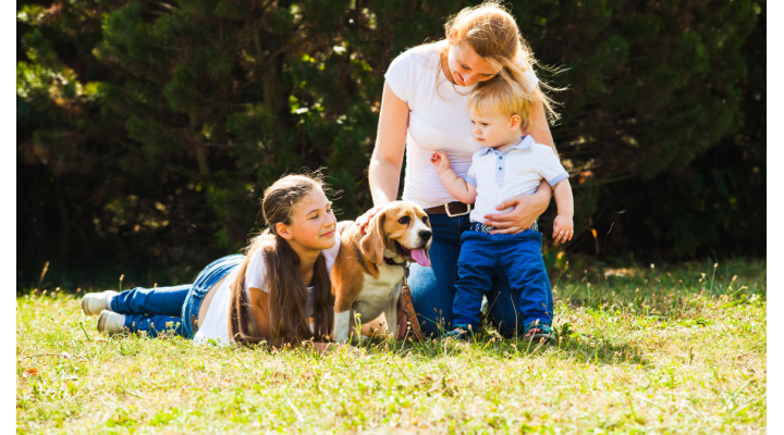 Animali da compagnia e allergie primaverili