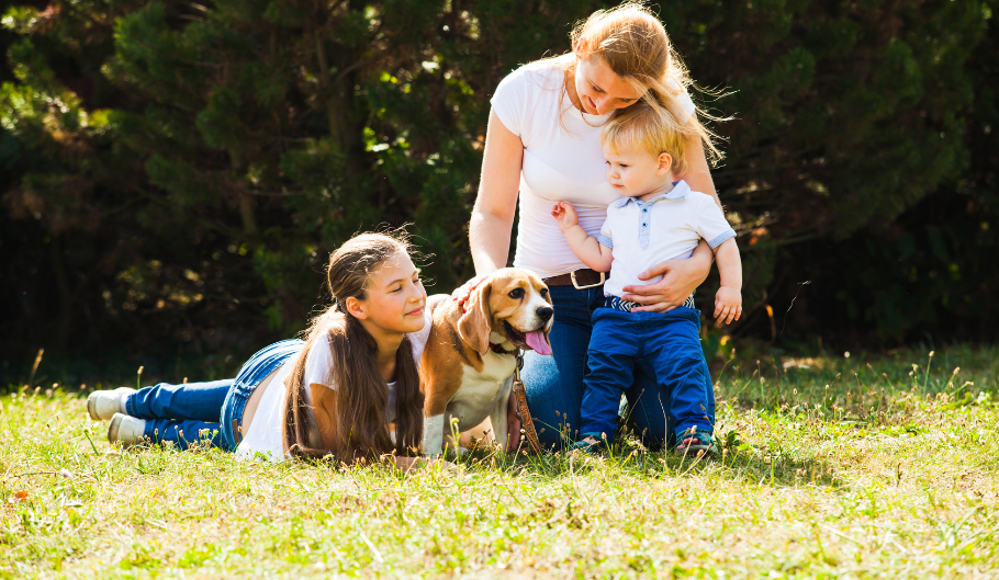 Animali da compagnia e allergie primaverili