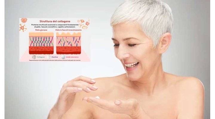 Collagene, acido ialuronico ed elastina