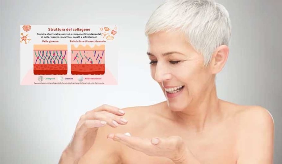 Collagene, acido ialuronico ed elastina Collagene, acido ialuronico ed elastina