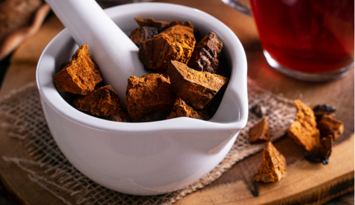 Scopri le proprietà dei funghi medicinali: alleati del tuo sistema immunitario Scopri le proprietà dei funghi medicinali: alleati del tuo sistema immunitario