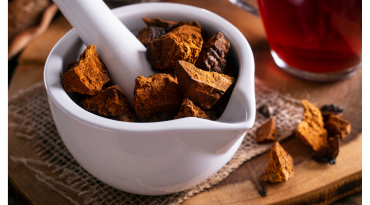 Scopri le proprietà dei funghi medicinali: alleati del tuo sistema immunitario