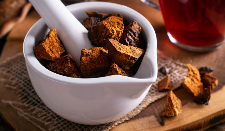 Scopri le proprietà dei funghi medicinali: alleati del tuo sistema immunitario Scopri le proprietà dei funghi medicinali: alleati del tuo sistema immunitario