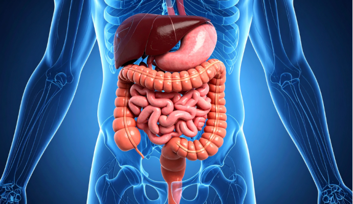 Gonfiore intestinale, hai mai provato con il metodo 30-30-3?