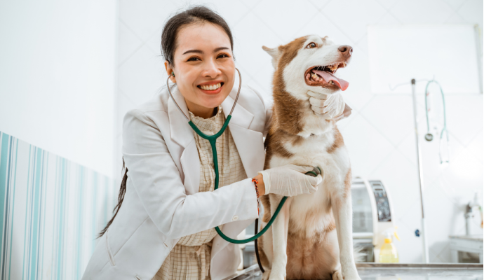 Quali integratori dare a cani e gatti?