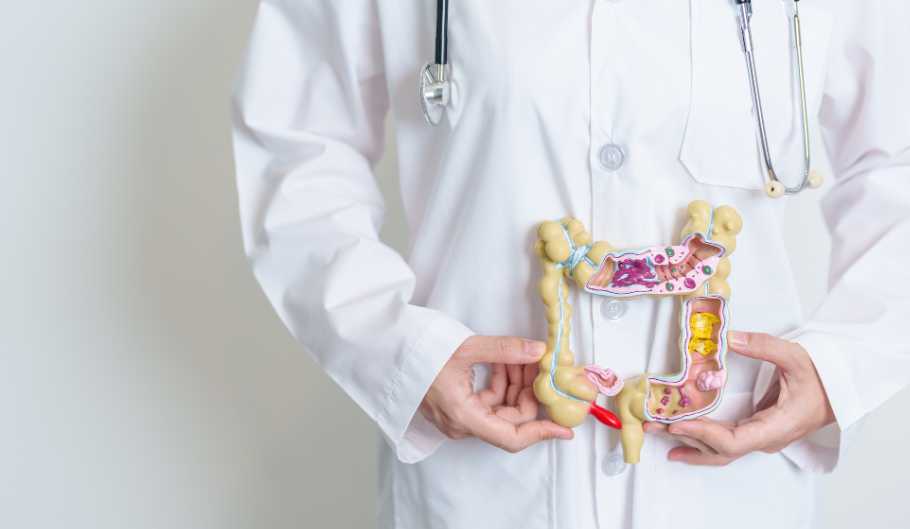 La connessione tra intestino e cervello: come l’alimentazione influisce sull’umore