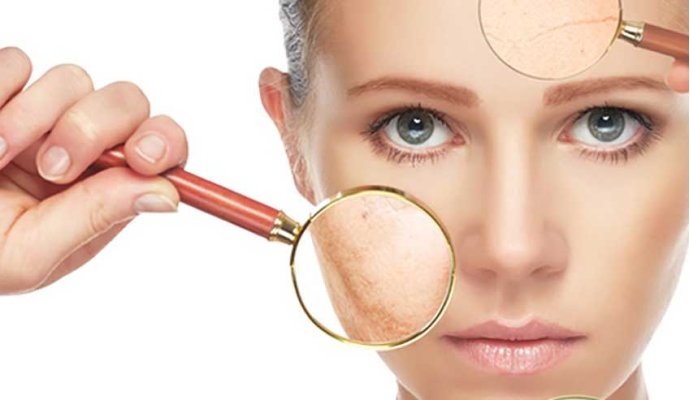 Com'è fatta la pelle?