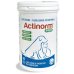 Actinorm Pro - 60 compresse per il benessere intestinale di cani e gatti Actinorm Pro - 60 compresse per il benessere intestinale di cani e gatti