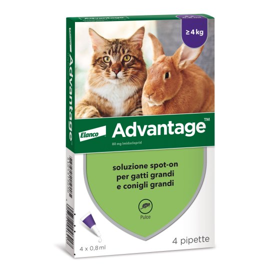Advantage Spot On per gatti grandi e conigli grandi oltre i 4 kg - 4 pipette 
