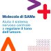 Samefast Up Umore 20 Stick | Integratore con SAM-e, Acido Folico e Vitamina B12
