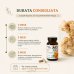 French Mush Lion's Mane BIO - 56 capsule di Hericium Biologico
