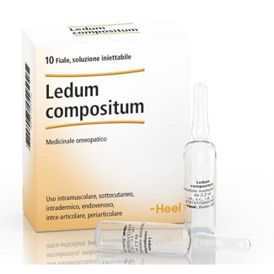 Ledum compositum Heel 10 fiale da 2,2 ml Ledum compositum Heel 10 fiale da 2,2 ml