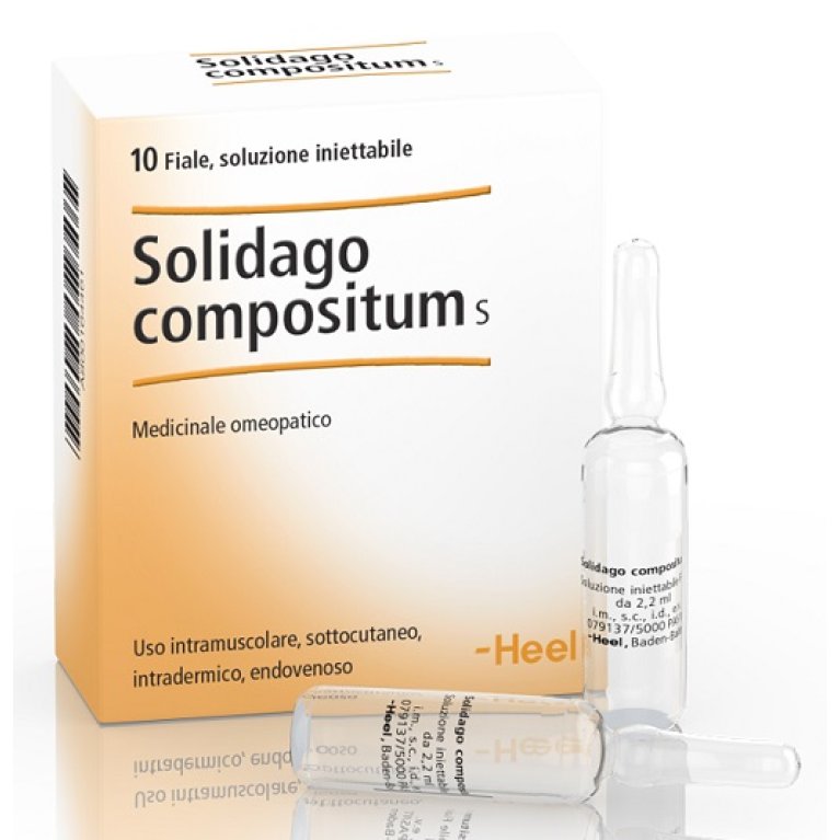 Solidago compositum Heel 10 fiale da 2,2 ml