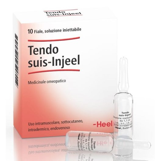 Tendo suis-injeel Heel 10 fiale da 1,1 ml