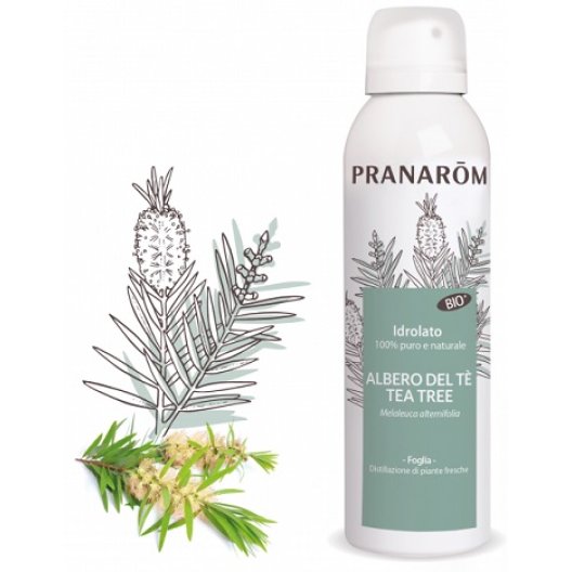 Pranarom Idrolato Albero del Tè - Tea Treee - spray da 150 ml
