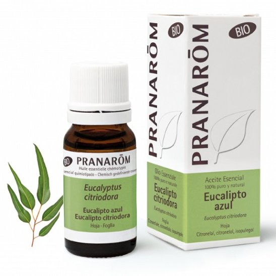 Pranarom Olio Essenziale BIO - Eucalipto Citriodora - 10 ml