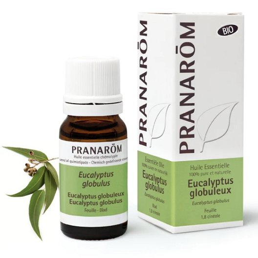 Pranarom Olio Essenziale BIO - Eucalipto Globulus - 10 ml