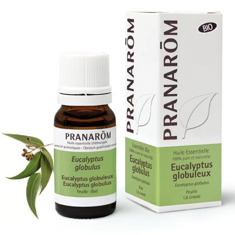 Pranarom Olio Essenziale BIO - Eucalipto Globulus - 10 ml Pranarom Olio Essenziale BIO - Eucalipto Globulus - 10 ml