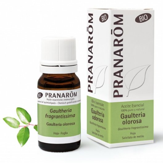 Pranarom Olio Essenziale BIO - Gaulteria Odorosa - 10 ml