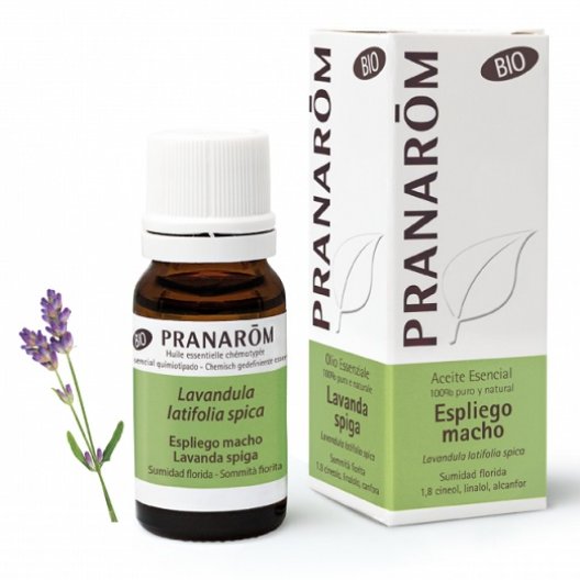 Pranarom Olio Essenziale BIO - Lavanda Spiga - 10 ml