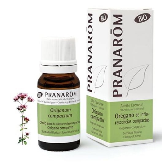 Pranarom Olio Essenziale BIO - Origano Compatto - 10 ml