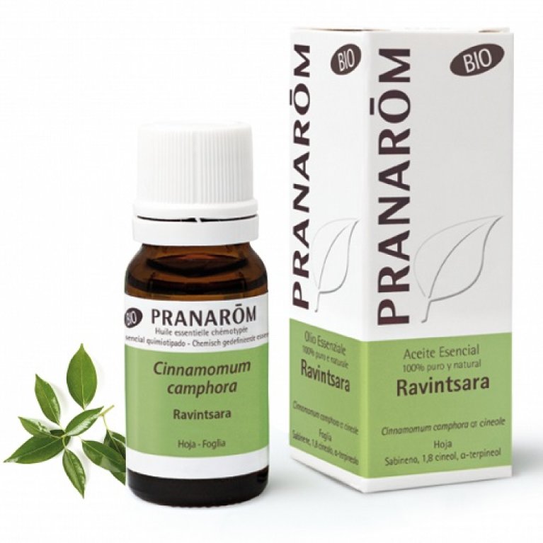 Pranarom Olio Essenziale BIO - Ravintsara - 10 ml Pranarom Olio Essenziale BIO - Ravintsara - 10 ml