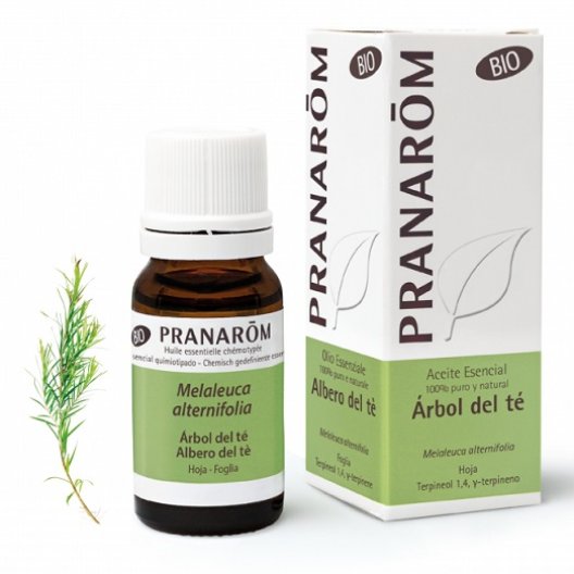 Pranarom Olio Essenziale BIO - Tea Tree - Melaleuca - 10 ml